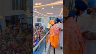 Dhadrianwale Latest Video Reel 05 11 2024 826