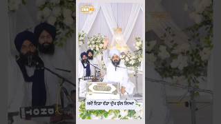 Dhadrianwale Latest Video Reel 09 09 2024 347